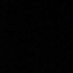 Meet your Posher, Terri